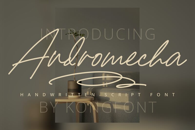 Andromecha Carattere