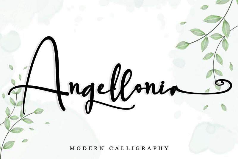 Angellonia الخط 