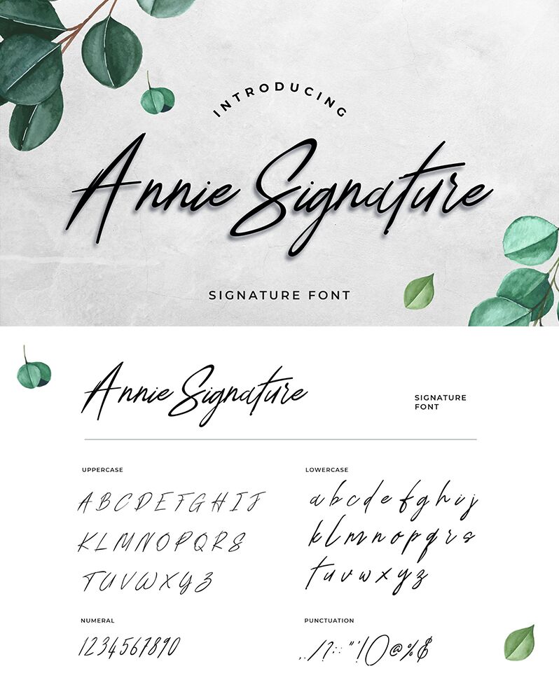 Annie Signature font | Fonts2u.com