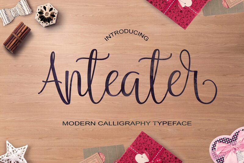 Anteater Schriftart
