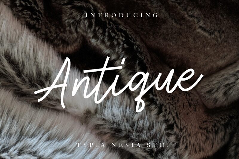 Antique Шрифт