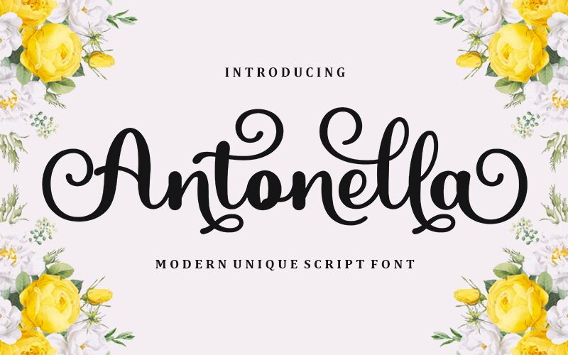 Antonella Schriftart