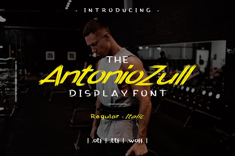 Antonio Zull Brush Font