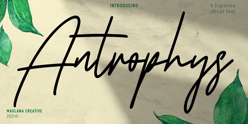 Antrophys الخط 