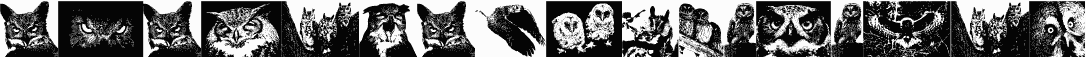 معاينة خط AParliamentofOwls