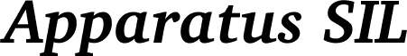 Apparatus SIL Bold Italic