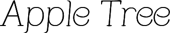 Apple Tree Italic