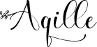 Aqille - Personal Use