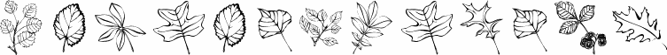 ArborisFolium