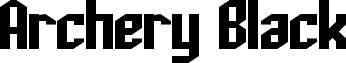 Archery Black