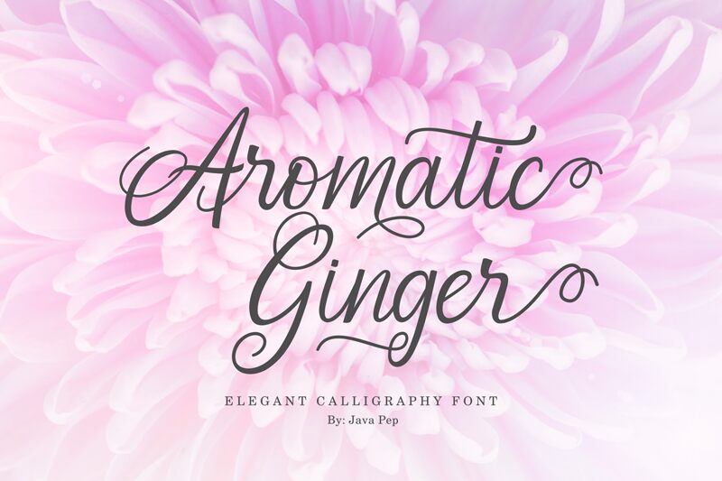 Aromatic Ginger Carattere