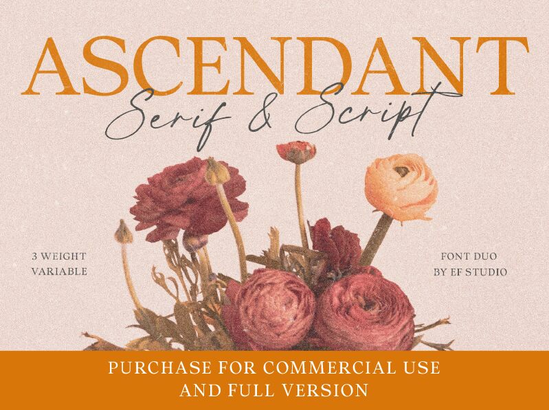 Ascendant Serif Schriftart