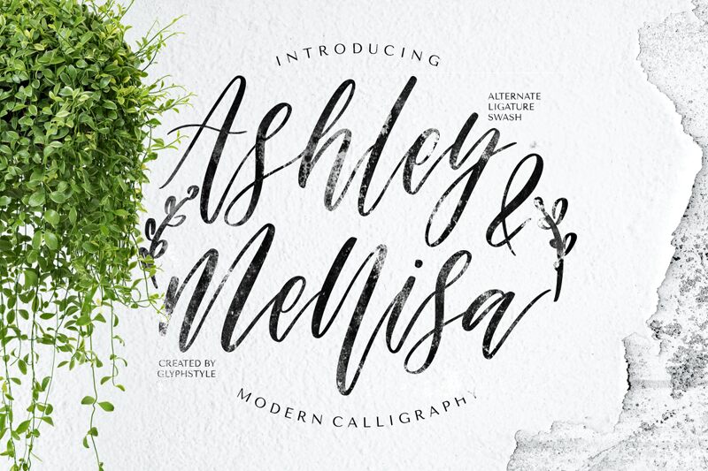 Ashley & Mellisa Schriftart