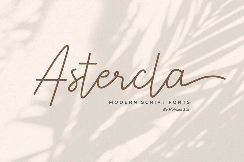 Astercla Fonte
