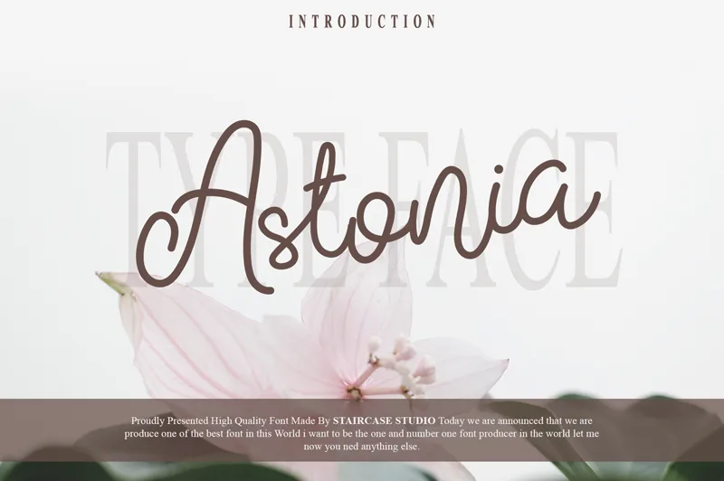 Astonia — Prezentácia písma