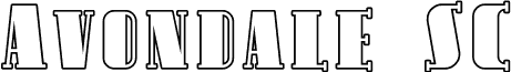 Avondale SC Outline