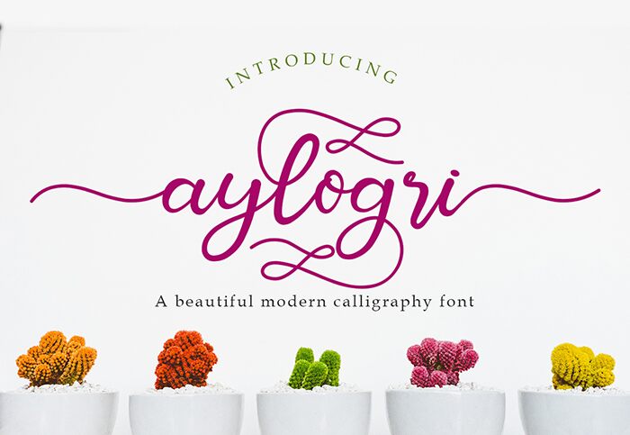 Aylogri Police