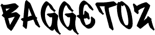 BAGGETOZ