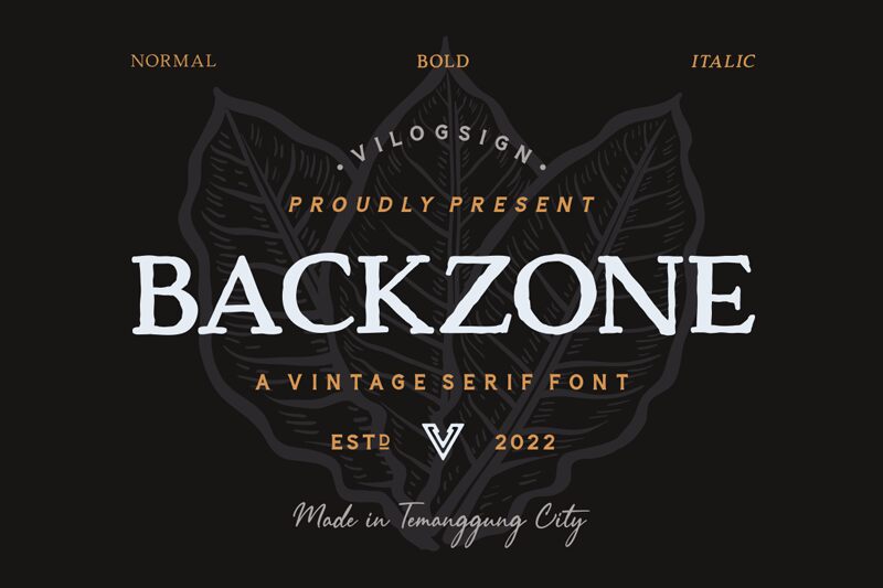 Backzone Schriftart