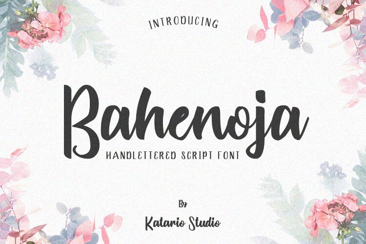Bahenoja Font