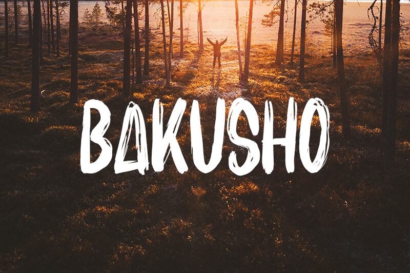 BAKUSHO Schriftart