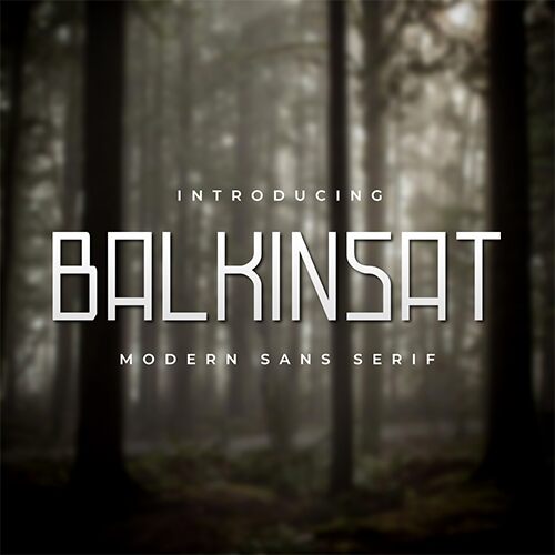 Balkinsat Police