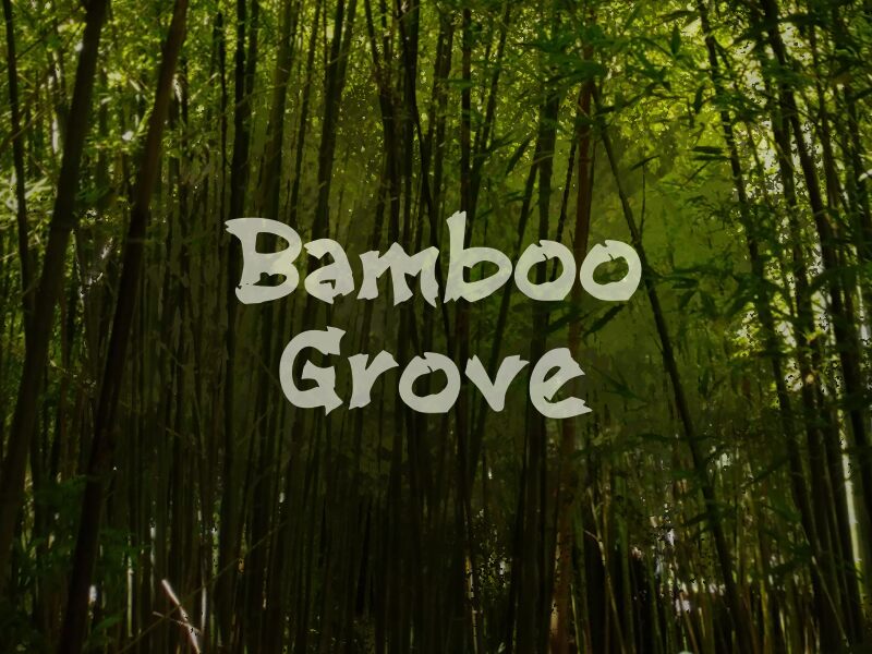 Bamboo Grove Font | Fonts2u.com