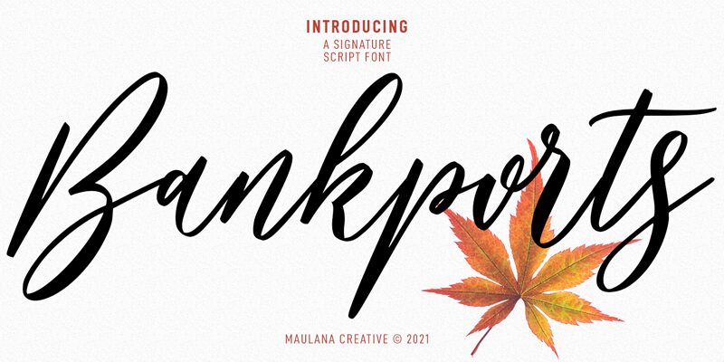 Bankports Druh písma