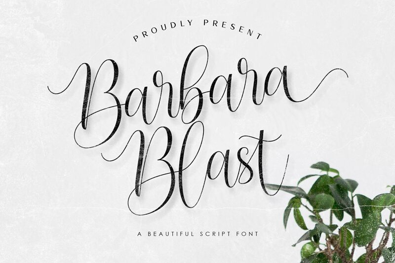 Barbara Blast Druh písma