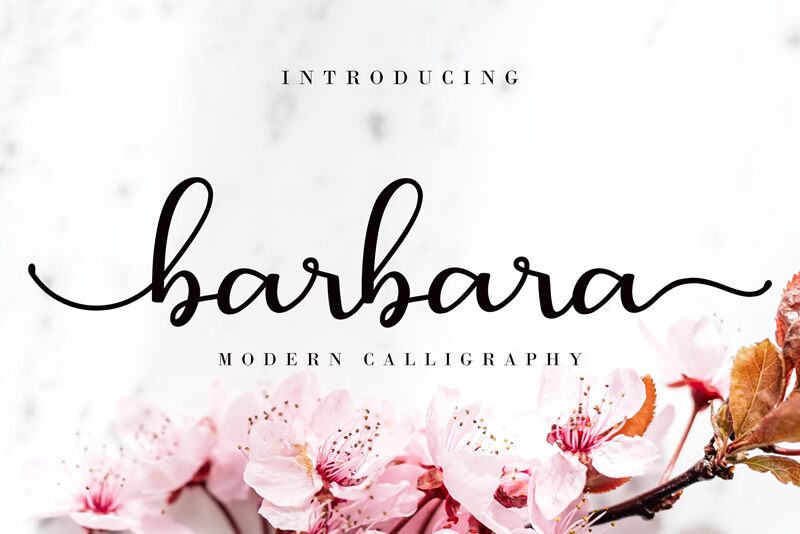Barbara Calligraphy Carattere