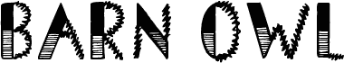 Barn Owl