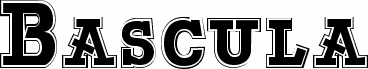 Bascula College