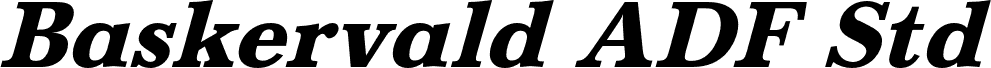 BaskervaldADFStd-HeavyItalic