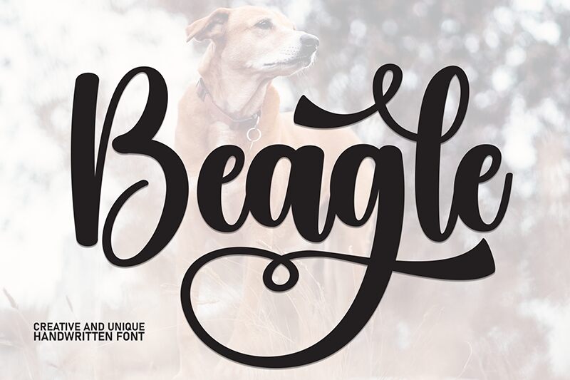 Beagle 字体