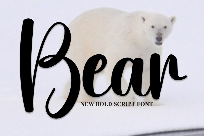 Bear 字体