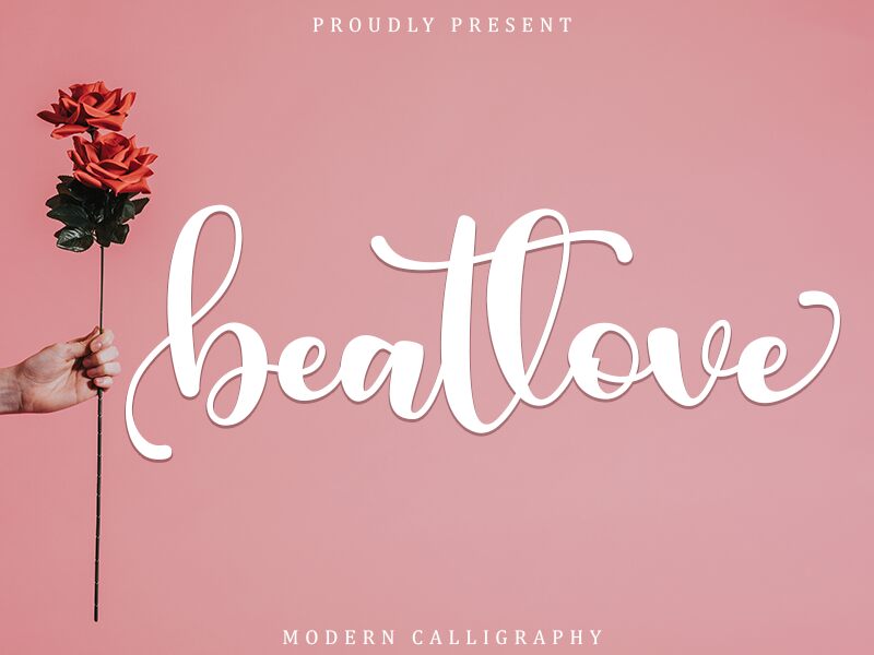 Beatlove Carattere