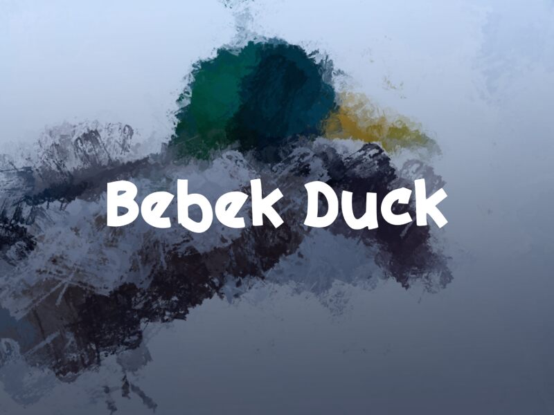 b Bebek Duck Schriftart