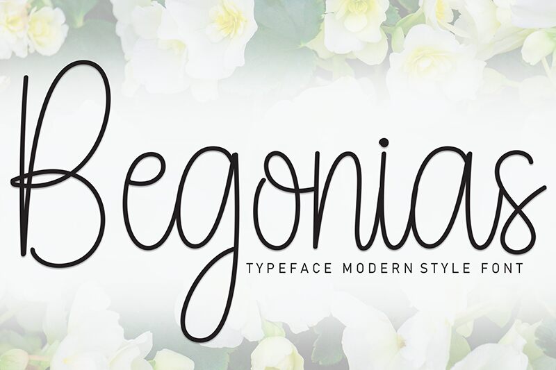 Begonias 字体