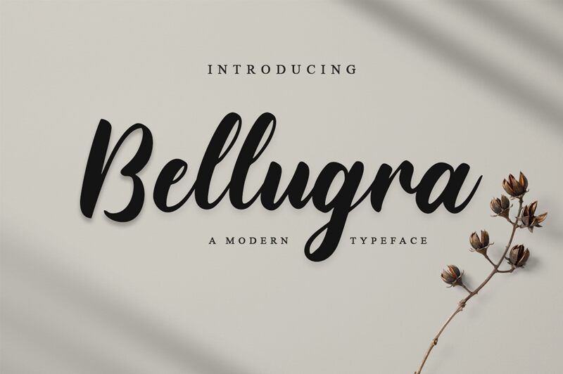 Bellugra Schriftart