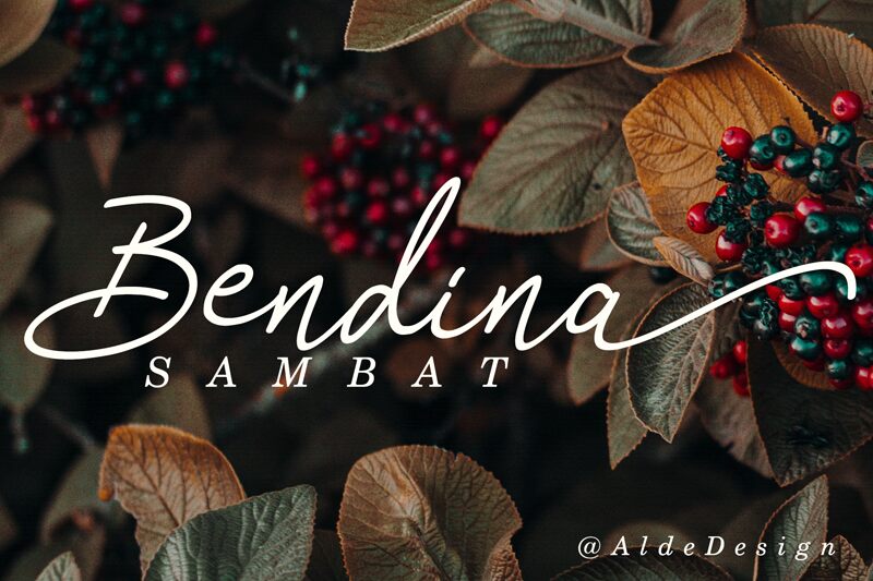 Bendina Sambat Druh písma
