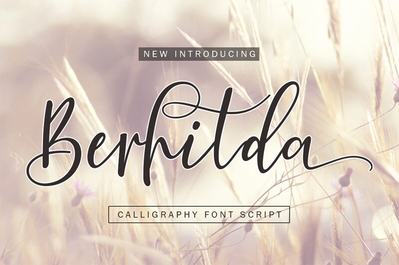 Berhilda Script Schriftart