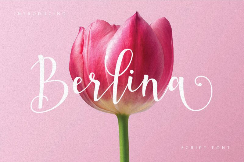 Berlina Script Schriftart