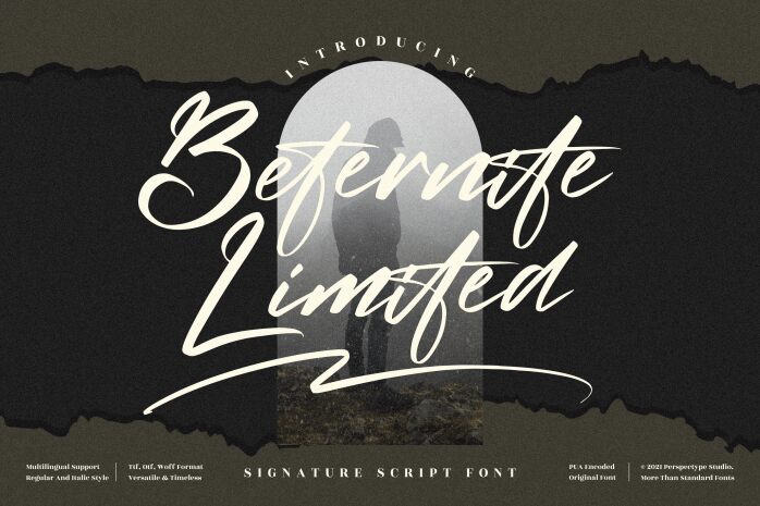 Beternite Limited Czcionka