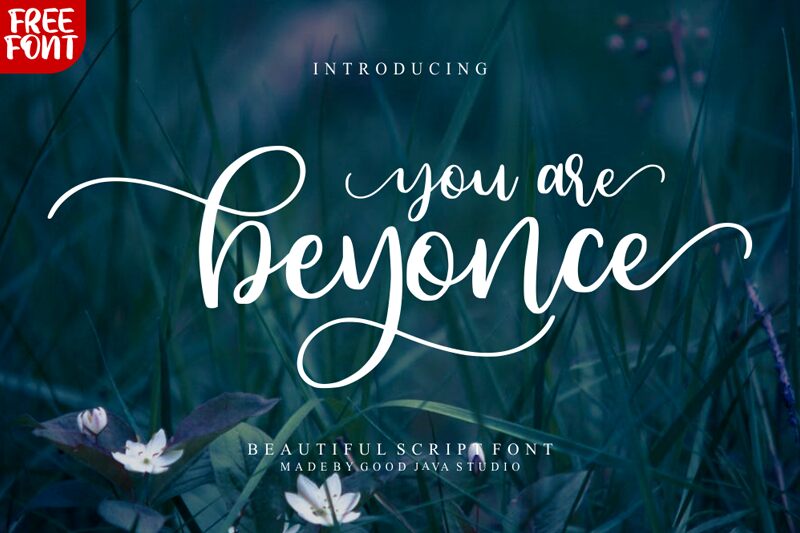 Beyonce Fuente