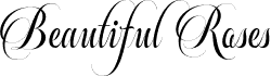 Beautiful Roses Script