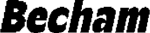 Becham Pixel Demo Regular