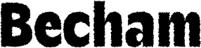 Becham Rough Demo Regular