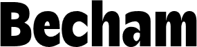 BechamDemo-Regular