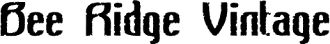 Bee Ridge Vintage Semi-condensed Bold