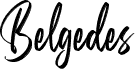 Belgedes